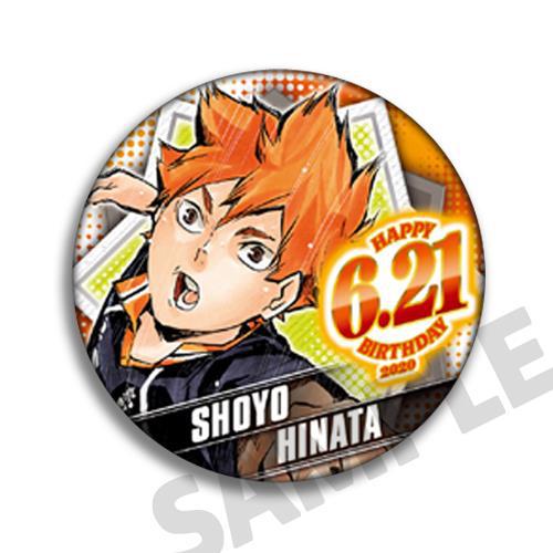 Volleyball Haikyuu Anime Badge - огляд і ціна Anime Merchandise Haikyuu